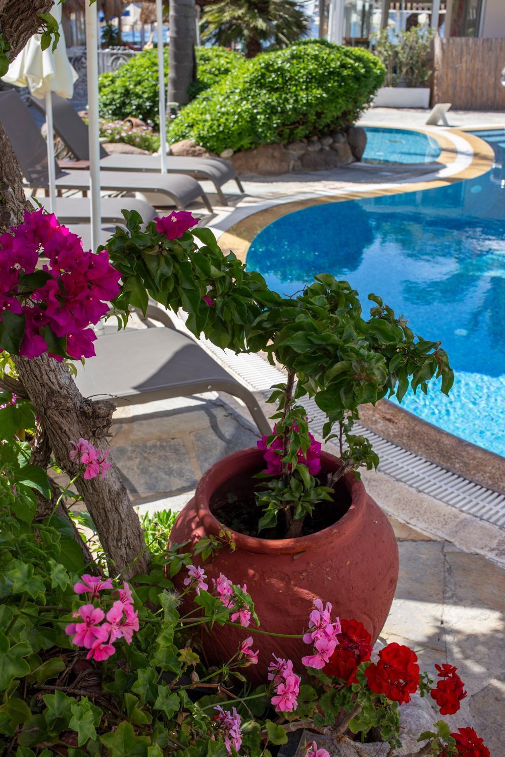 Uzhan Beach Hotel Bitez Bagian luar foto