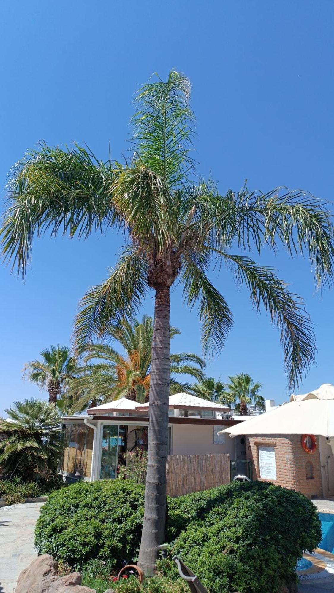 Uzhan Beach Hotel Bitez Bagian luar foto